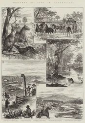 Esquisses de la vie dans le Queensland