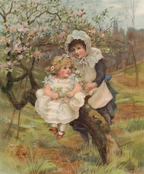 Fleurs de printemps en mai
