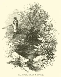 Puits de Sainte-Anne, Chertsey