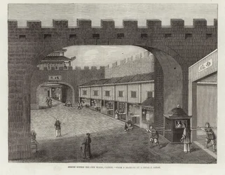 Rue à l