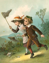 La chasse aux papillons