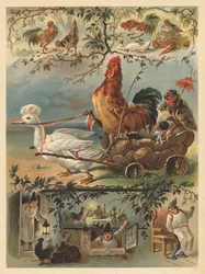 Le coq et la palette