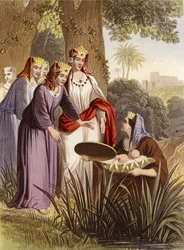 La découverte de Moïse