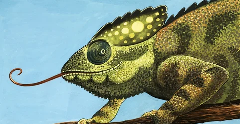Le Caméléon géant