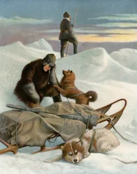 Les Derniers Survivants