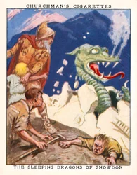 La légende de Saint Patrick et des serpents, Irlande (lithographie couleur)