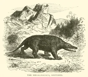 Le Mégalosaure, restauré (gravure)