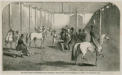 La Reine regardant les chevaux arabes présentés à Sa Majesté, dans la maison de manège à Pimlico
