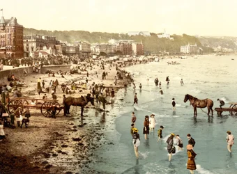 La plage, Douglas