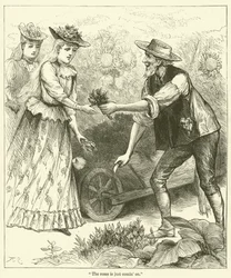 "The roses is just comin