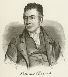 Thomas Bewick