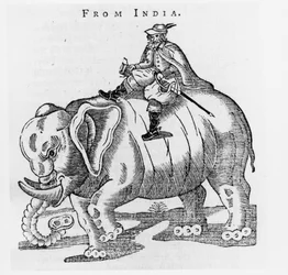 Thomas Coryate (c.1577-1617) sur un éléphant, de Lettres d