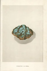 Turquoise dans la matrice, de "Precious Stones and Gems" d