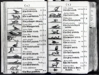 Deux pages de Orbis Sensualium Pictus par Comenius, 1659