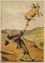 Comptine non identifiée