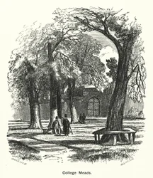 Winchester College : College Meads