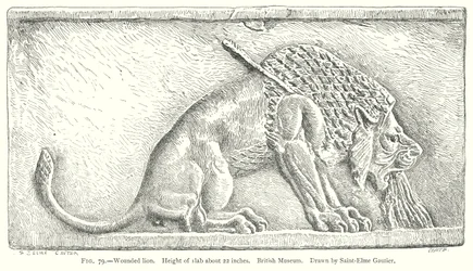 Lion blessé (gravure)
