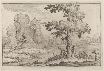 Bouvier et vaches traversant une rivière