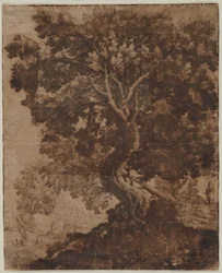 Arbre dans un paysage