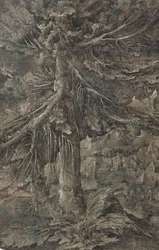 Le grand sapin. Paysage de montagne avec une ville fortifiée et une forteresse, un grand sapin au premier plan