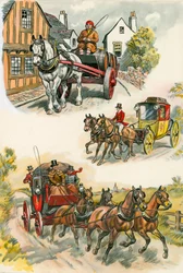 Chevaux