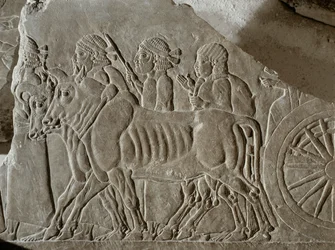 Soldats assyriens conduisant des prisonniers de guerre élamites à l