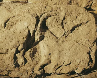 Béliers de combat (relief en pierre)