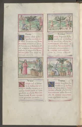 Pleine page : texte et miniatures (dessin à la plume en brun avec aquarelle)