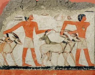 Peinture murale provenant de la tombe du pharaon Metchetchi ...