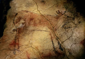 Cerf courant. Peinture rupestre d