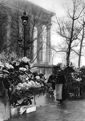 Marché aux fleurs à la Madeleine, Paris