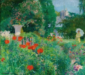 Élégant dans un champ de coquelicots