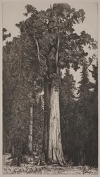 Général Sherman