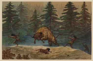 Chasse au bison, 1871