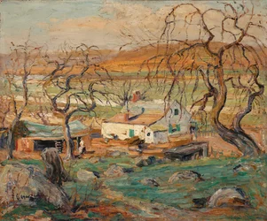 Paysage avec arbres noueux
