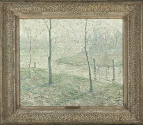 Brume matinale
