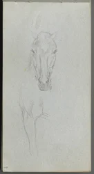 Carnet de croquis, page 09 : Étude d