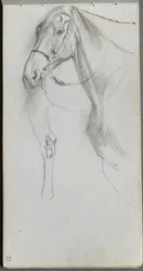 Carnet de croquis, page 55 : Étude pour un cheval