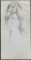 Carnet de croquis, page 55 : Étude pour un cheval