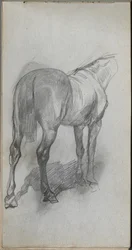 Carnet de croquis, page 76 : Étude d
