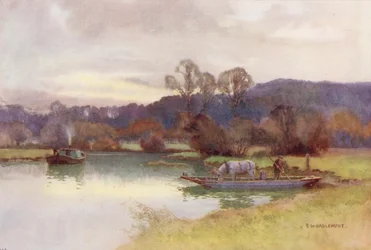 Rivière Thames : Vue des bois de Nuneham