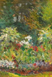 Parcelle de jardin fleurie