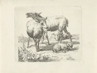 Trois moutons et un agneau dans un pré