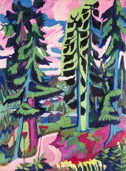 Montagne sauvage