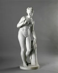 Vénus, d