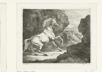 Cheval blanc cabré