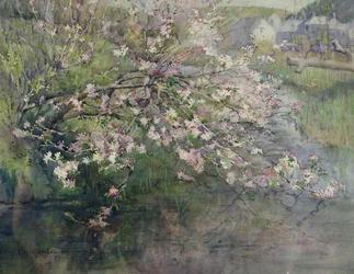Fleurs de mai au bord de la rivière