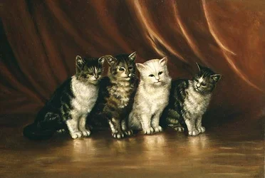 Quatre chats