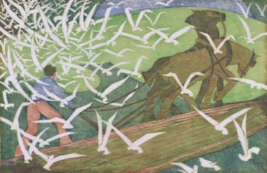 Oiseaux suivant une charrue