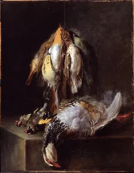 Oiseaux morts